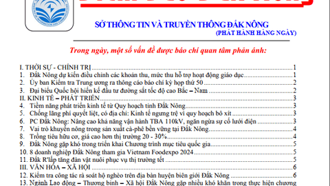 Bản tin Điểm báo ngày 14/11/2024